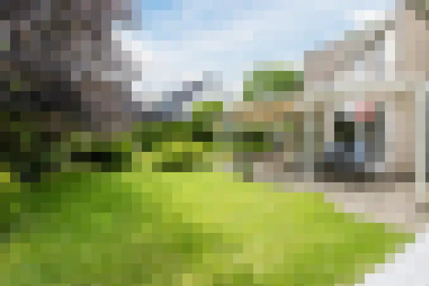 Leemrand 29 Gemert thumbnail 45