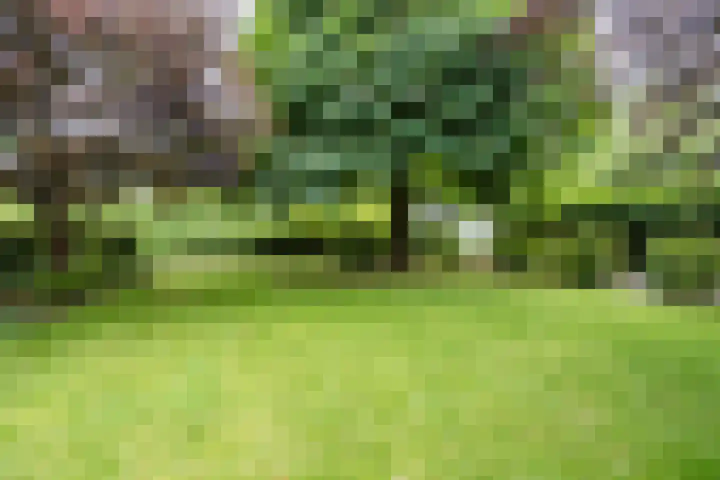 Leemrand 29 Gemert thumbnail 47