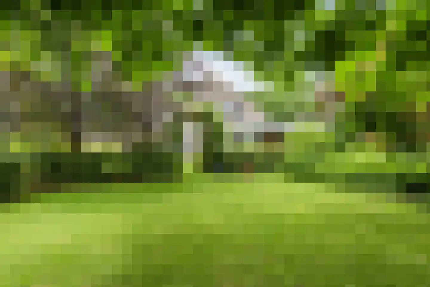 Leemrand 29 Gemert thumbnail 48
