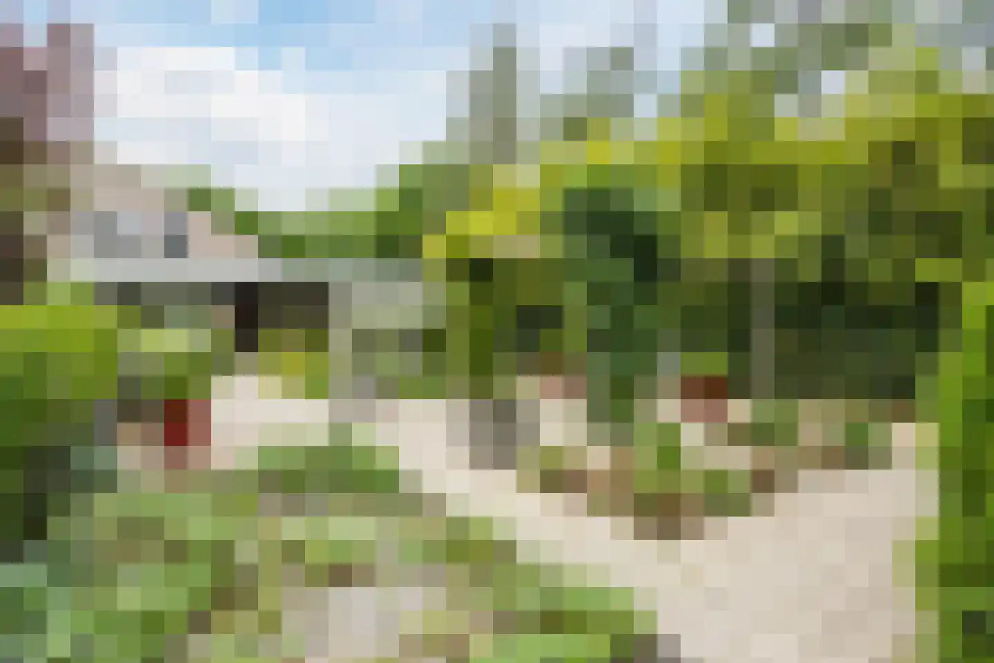 Leemrand 29 Gemert thumbnail 49