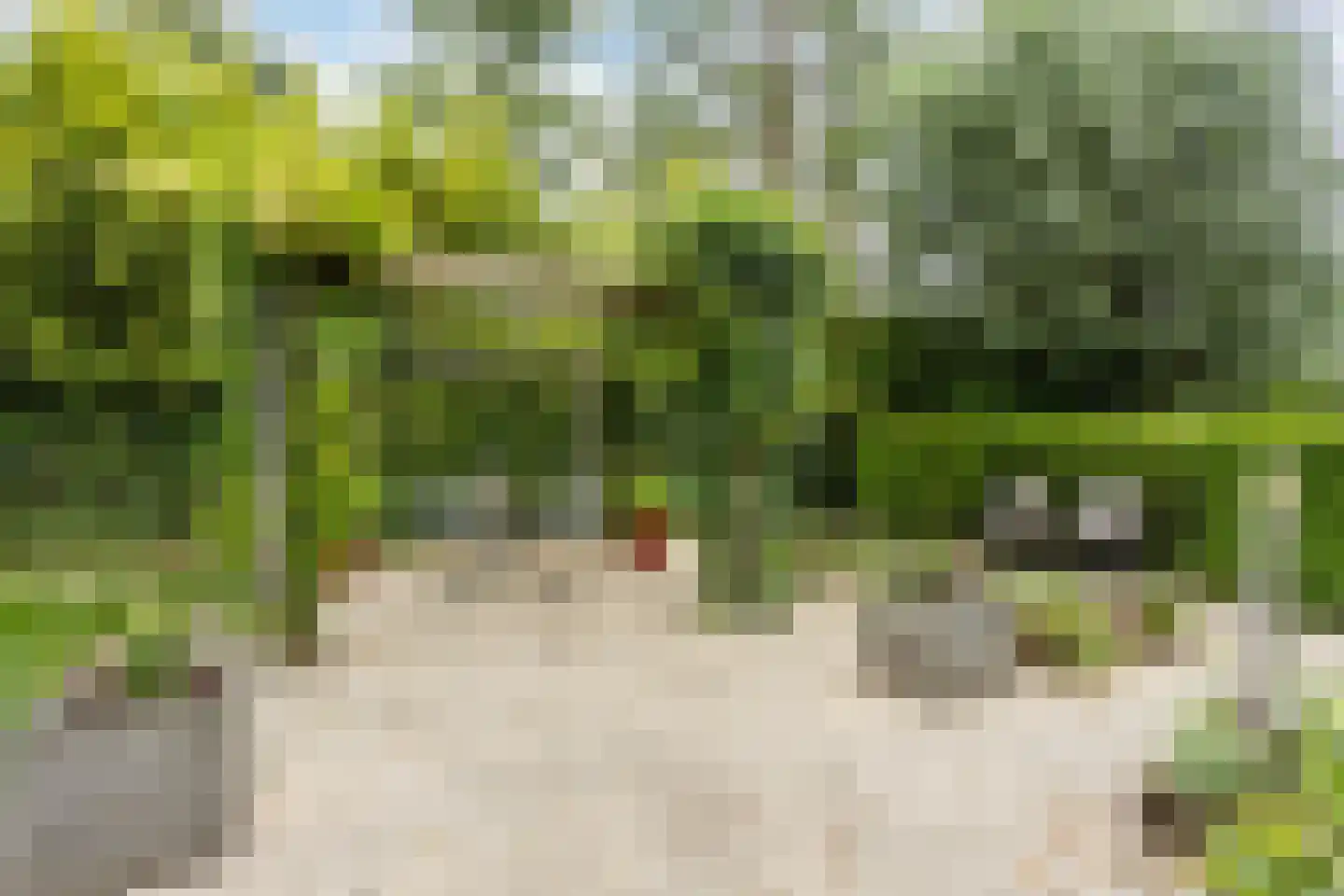 Leemrand 29 Gemert thumbnail 50