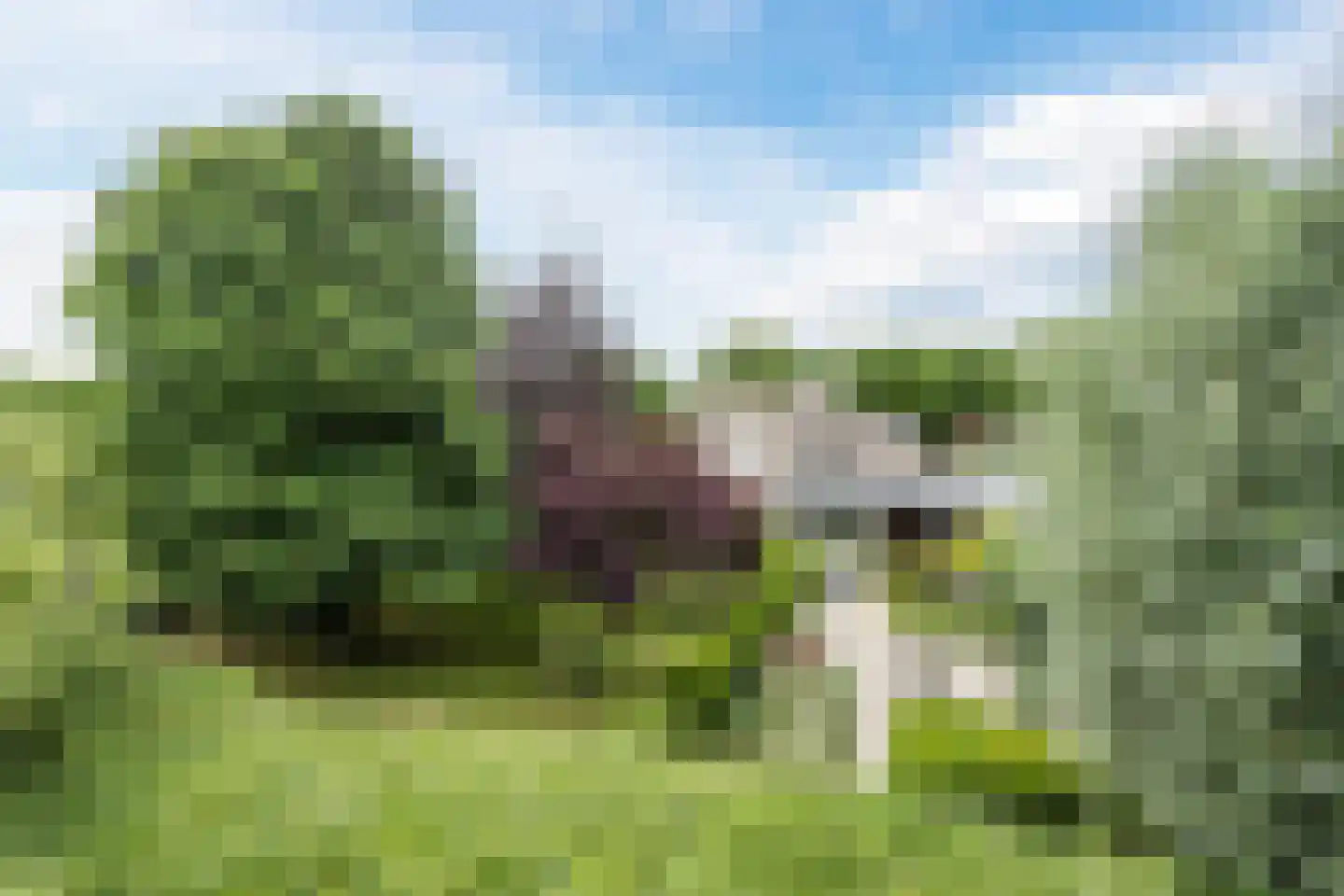 Leemrand 29 Gemert thumbnail 54