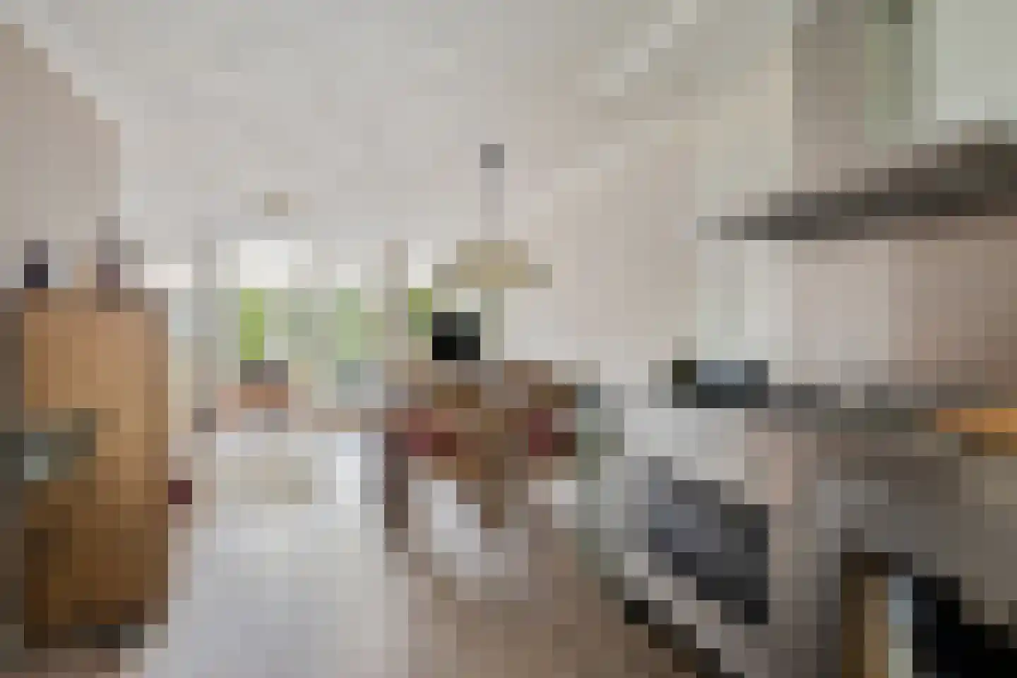 Leemrand 33 Gemert thumbnail 16