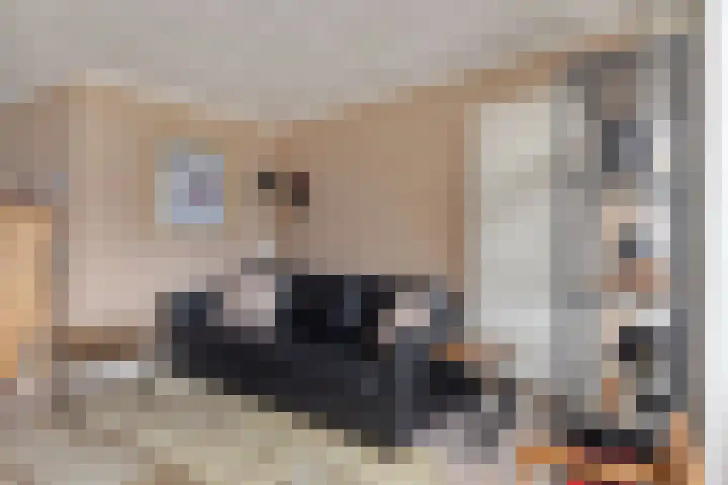 Leemrand 33 Gemert thumbnail 20
