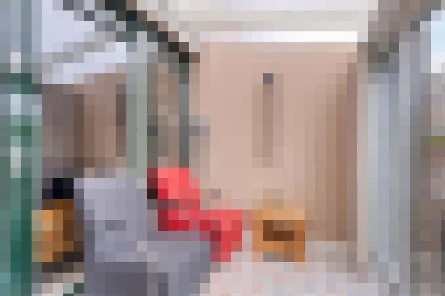 Leemrand 33 Gemert thumbnail 21