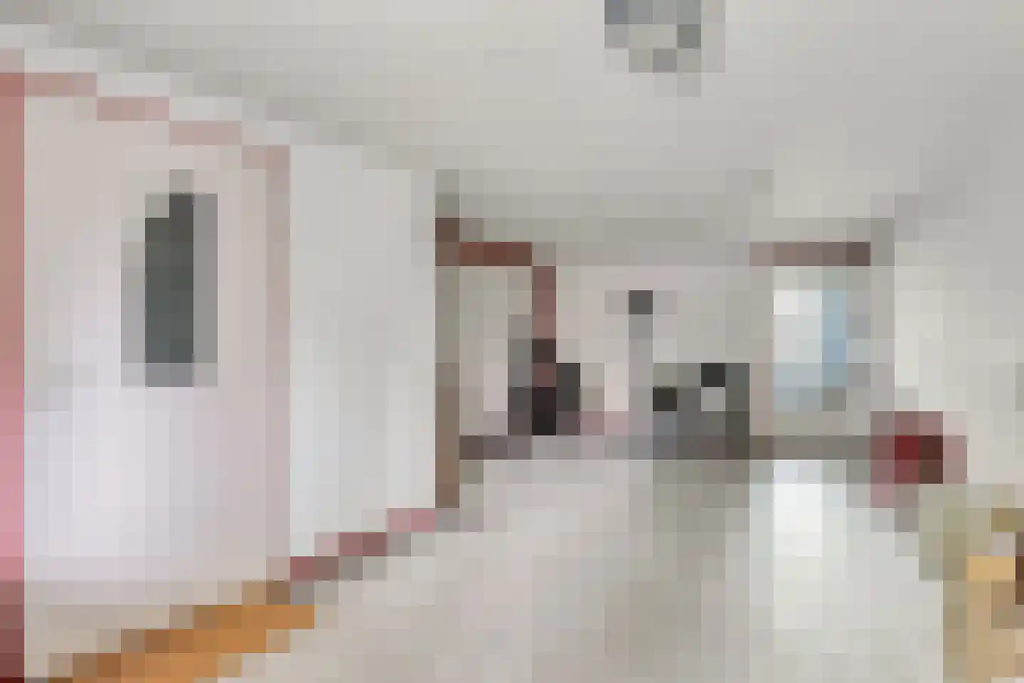 Leemrand 33 Gemert thumbnail 25