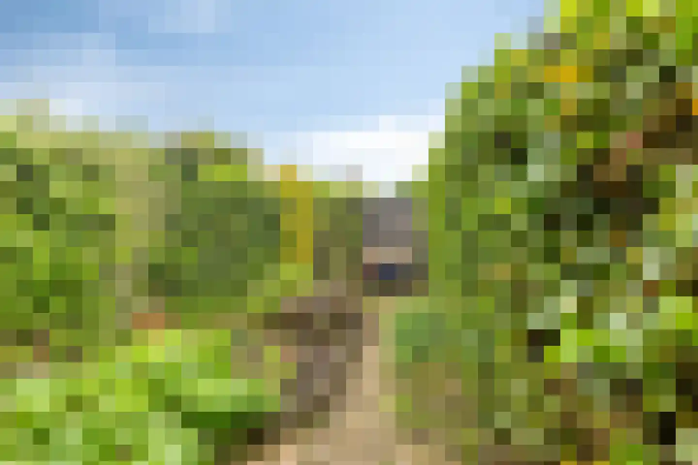 Leemrand 33 Gemert thumbnail 28