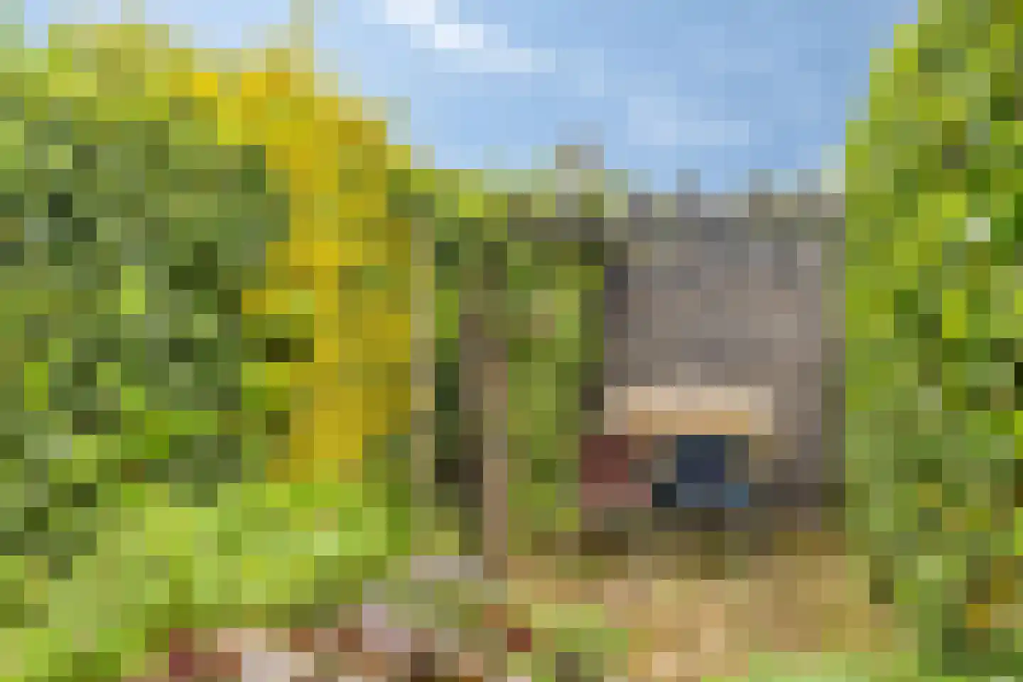 Leemrand 33 Gemert thumbnail 29