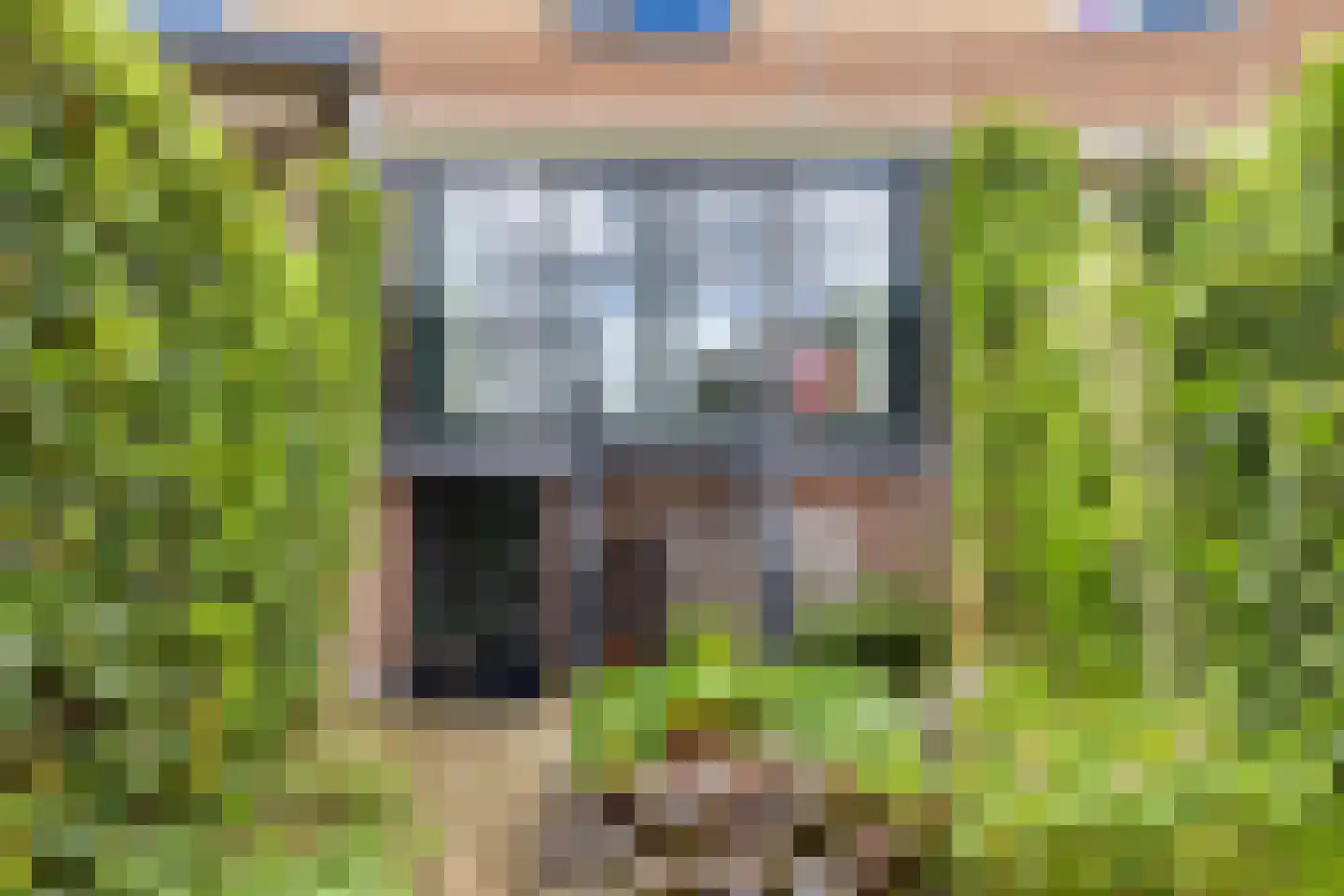 Leemrand 33 Gemert thumbnail 30