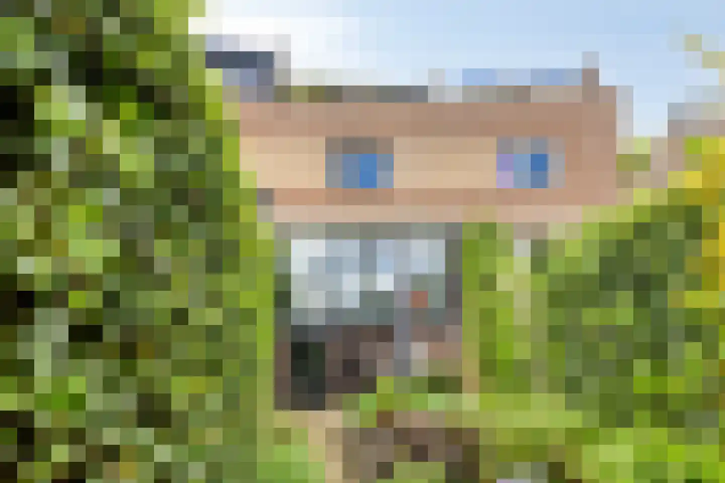 Leemrand 33 Gemert thumbnail 31