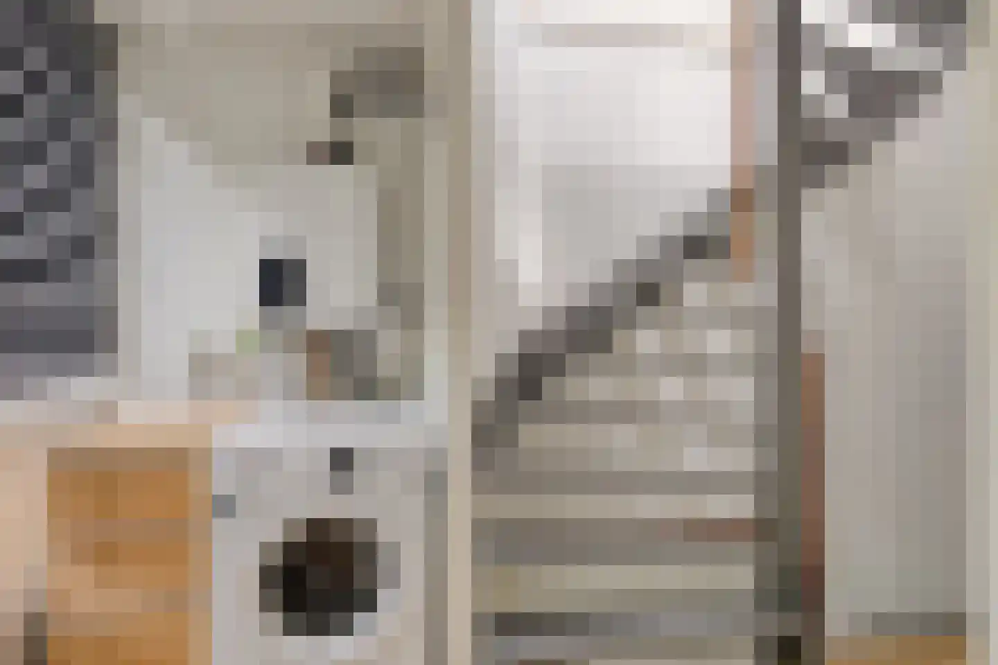 Leemrand 33 Gemert thumbnail 32