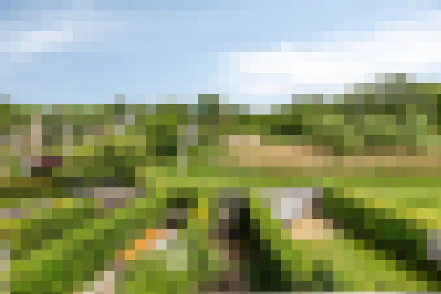 Leemrand 33 Gemert thumbnail 34