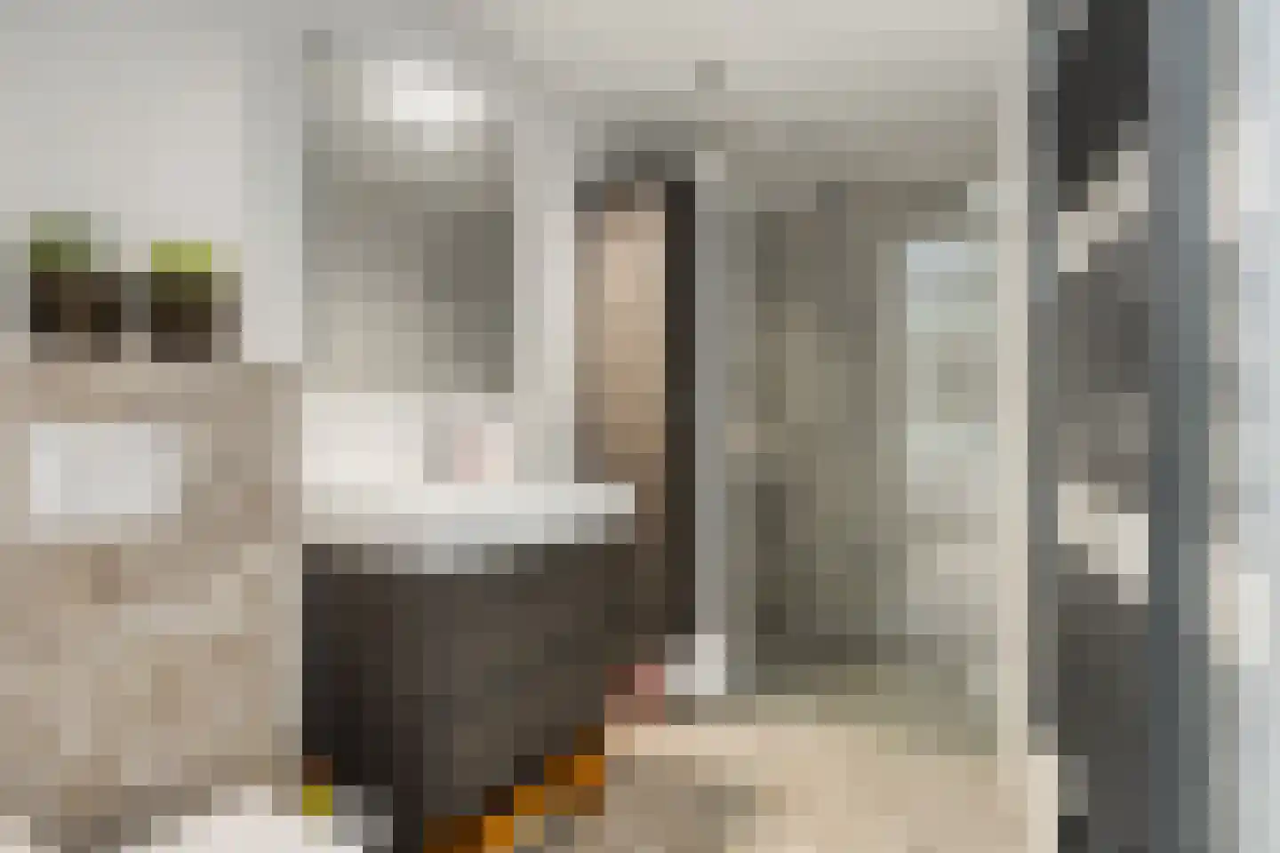 Leemrand 33 Gemert thumbnail 36