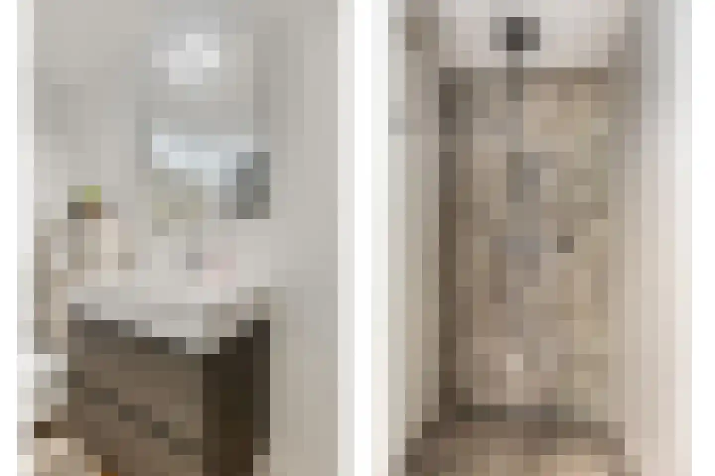 Leemrand 33 Gemert thumbnail 38