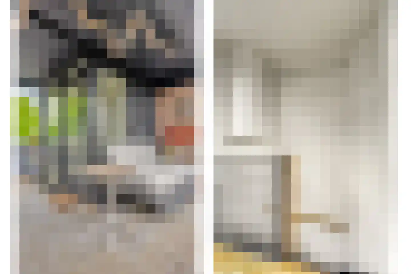 Leemrand 33 Gemert thumbnail 40
