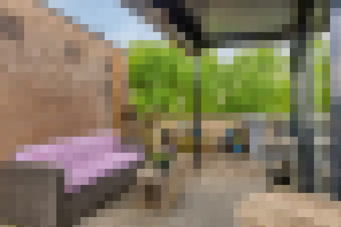 Leemrand 33 Gemert thumbnail 41