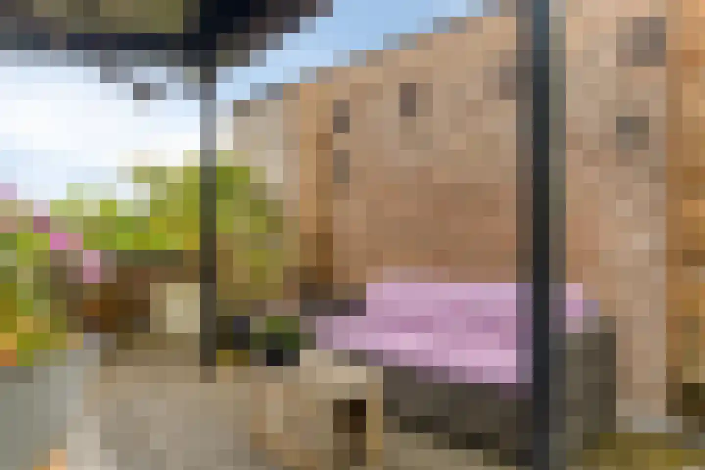 Leemrand 33 Gemert thumbnail 42