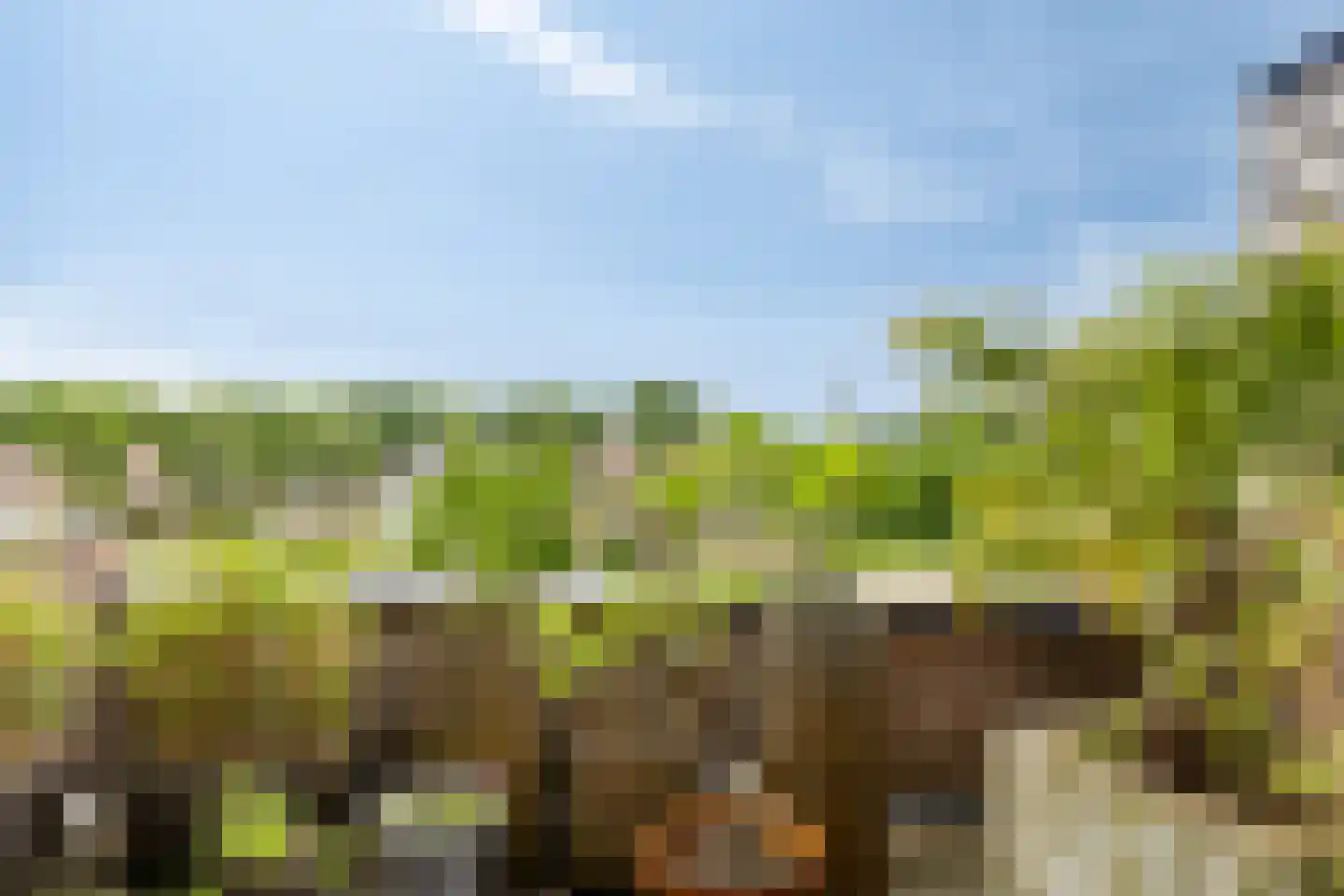 Leemrand 33 Gemert thumbnail 45