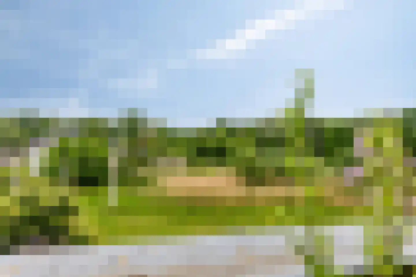 Leemrand 33 Gemert thumbnail 46