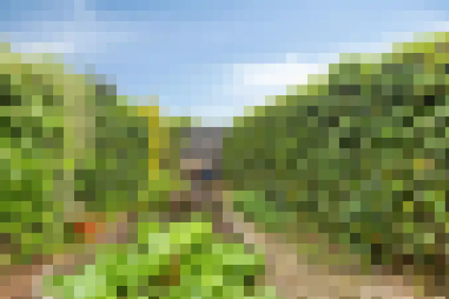 Leemrand 33 Gemert thumbnail 5