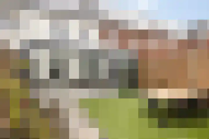 Leemsbroek 6 Veldhoven thumbnail 42