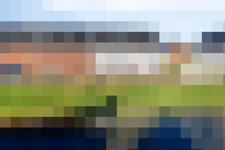 Leemsbroek 6 Veldhoven thumbnail 54