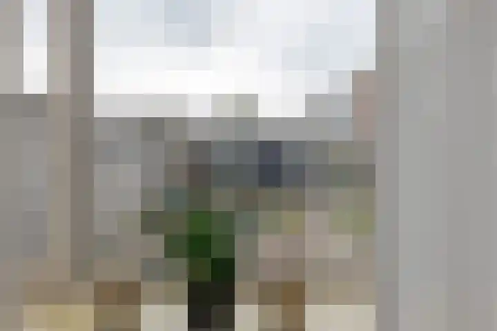 Leemskoel 15 Westerbork thumbnail 11