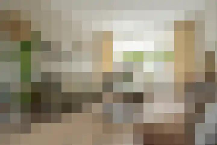Leemskoel 30 Westerbork thumbnail 12