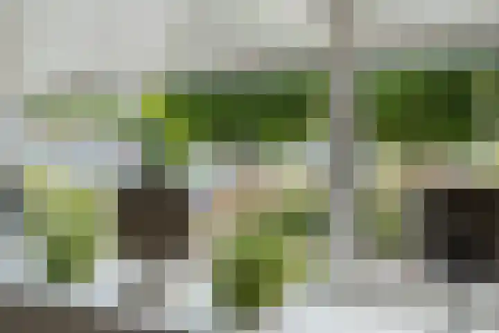 Leemskoel 30 Westerbork thumbnail 14