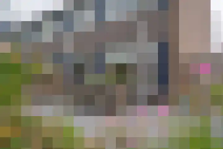 Leemskoel 30 Westerbork thumbnail 37