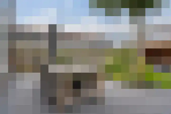 Leemskoel 30 Westerbork thumbnail 38