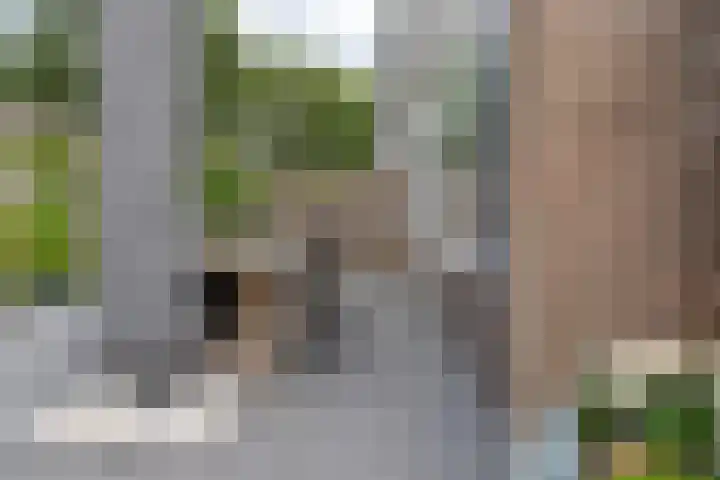 Leemskoel 30 Westerbork thumbnail 39
