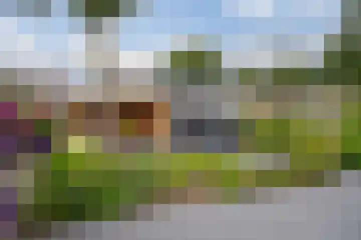 Leemskoel 30 Westerbork thumbnail 4