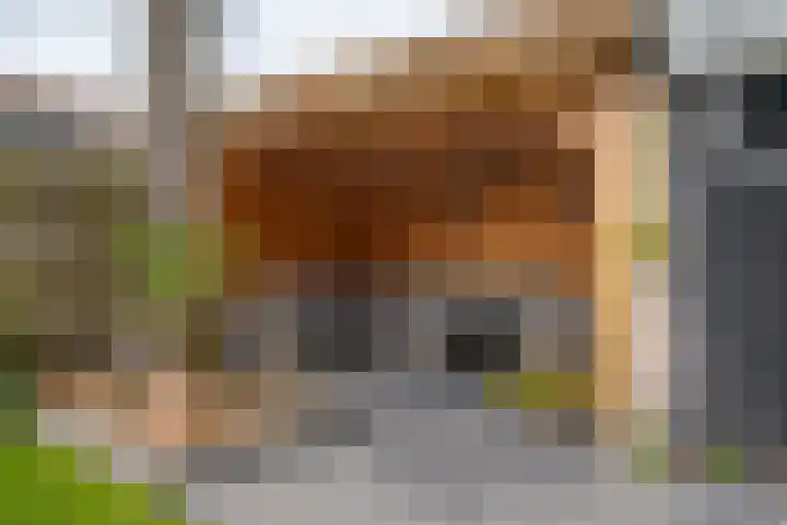 Leemskoel 30 Westerbork thumbnail 41