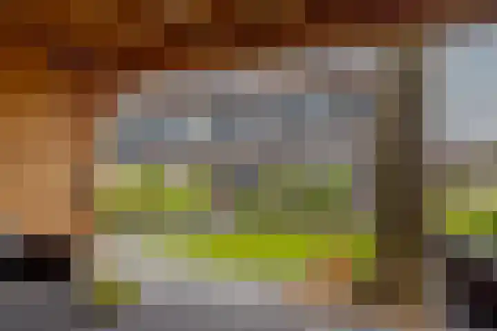 Leemskoel 30 Westerbork thumbnail 42