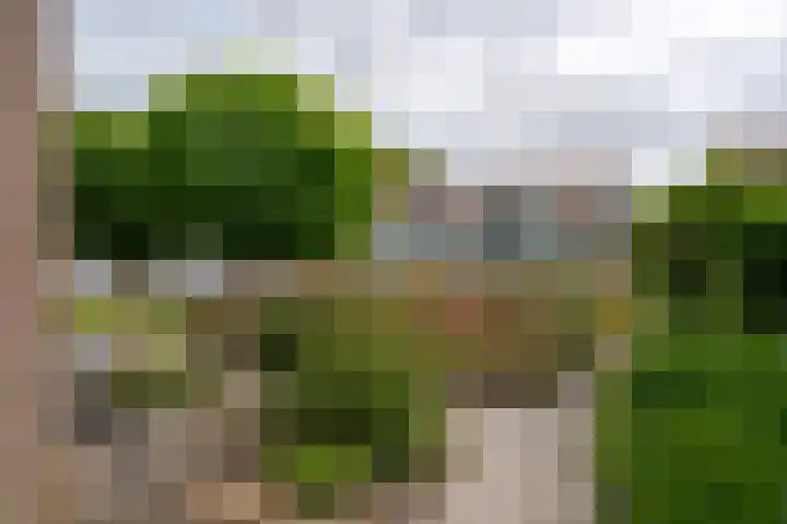 Leemskoel 30 Westerbork thumbnail 47