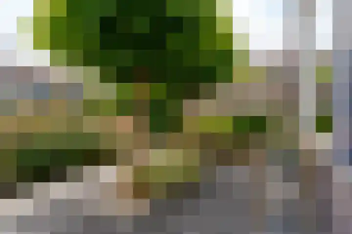 Leemskoel 30 Westerbork thumbnail 7