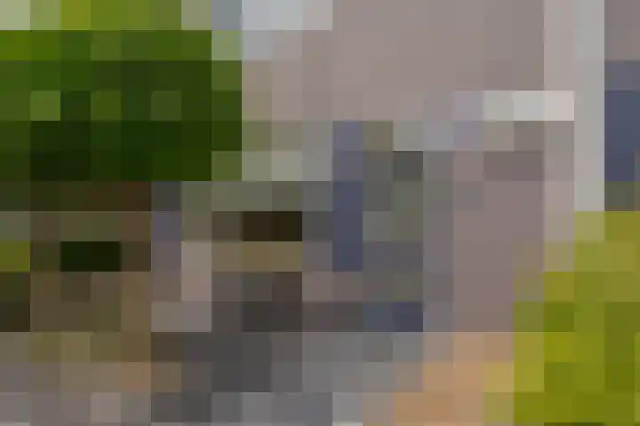 Leemskoel 30 Westerbork thumbnail 8