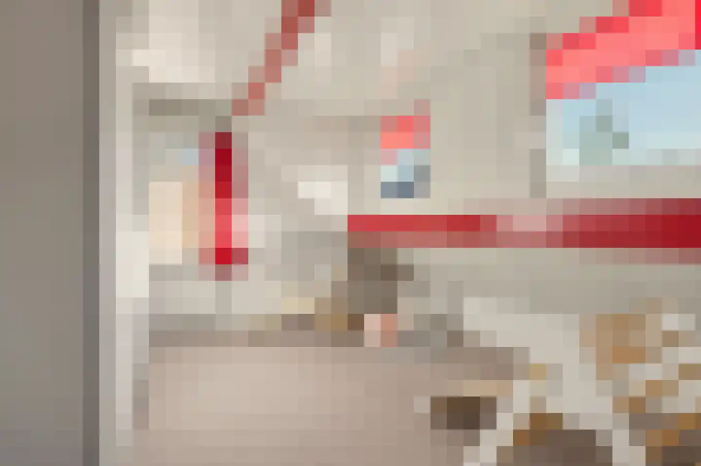 Leemskuilen 7 Bladel thumbnail 22