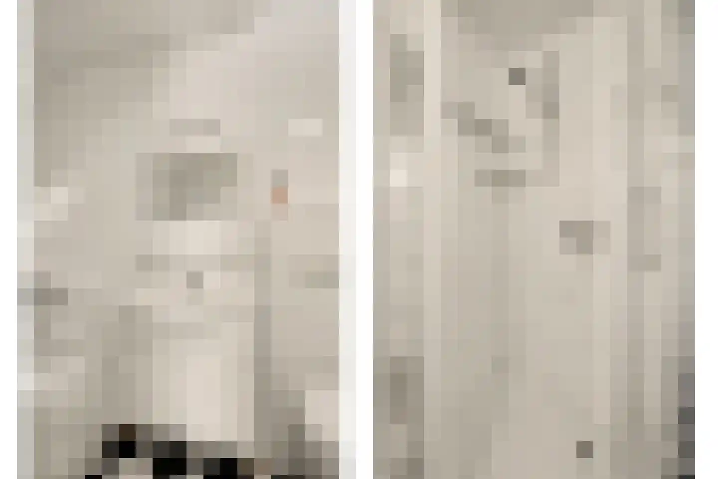 Leemskuilen 7 Bladel thumbnail 30