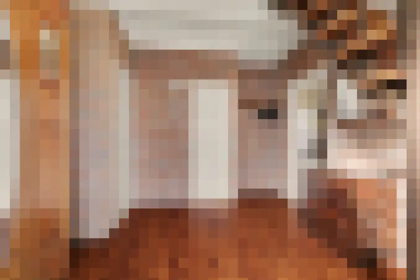 Leemskuilen 7 Bladel thumbnail 8