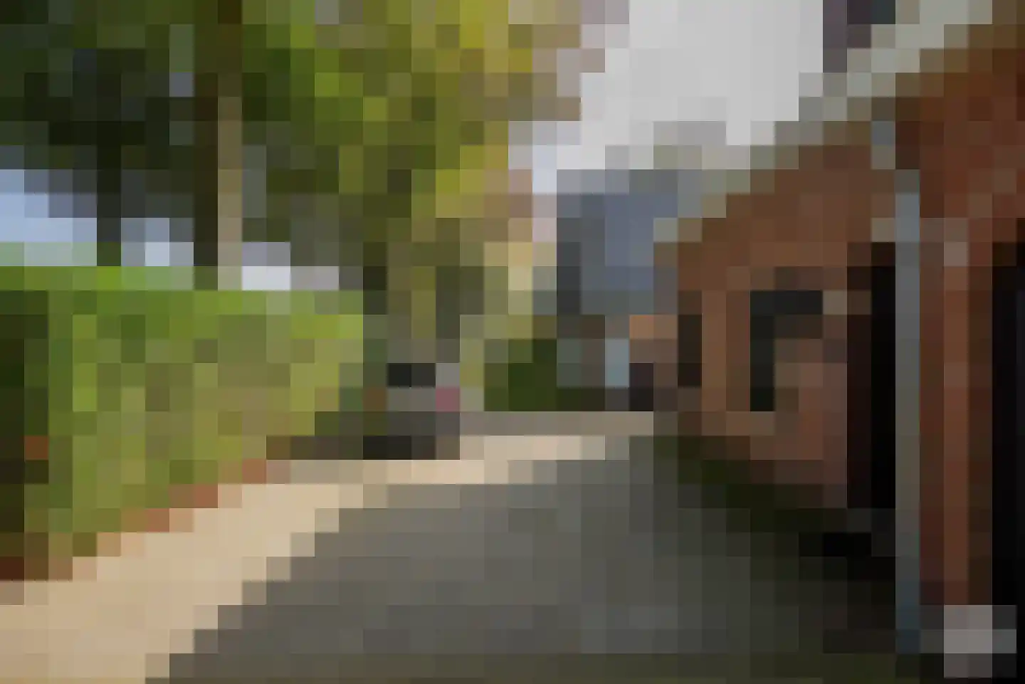 Leemstraat 18 Roosendaal thumbnail 22