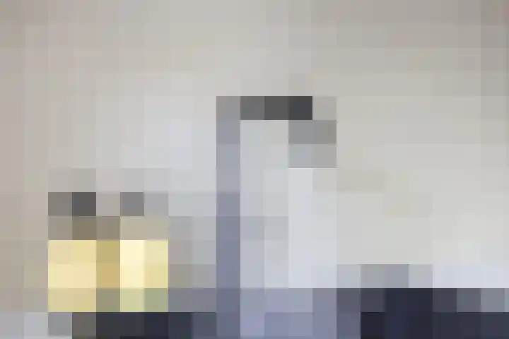 Leemvaert 1 Kaatsheuvel thumbnail 11