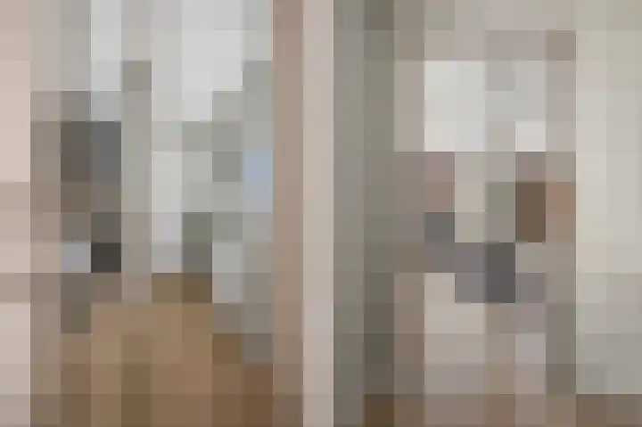 Leemvaert 1 Kaatsheuvel thumbnail 15