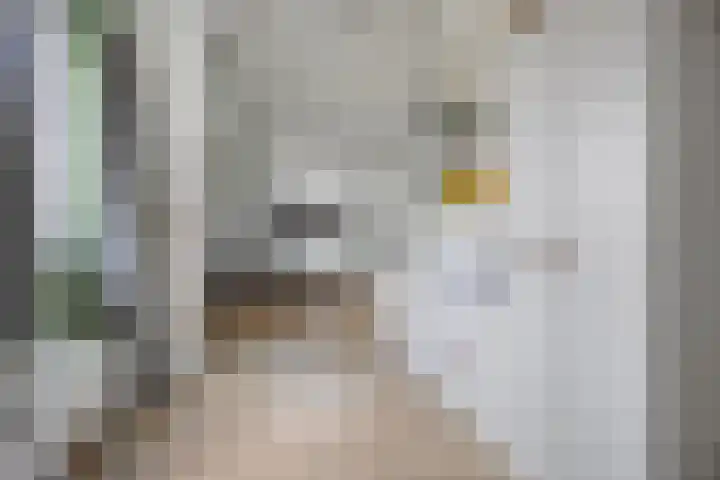Leemvaert 1 Kaatsheuvel thumbnail 31