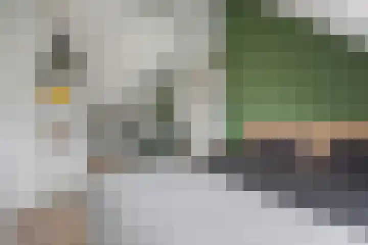 Leemvaert 1 Kaatsheuvel thumbnail 32