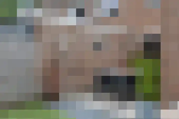 Leemvaert 1 Kaatsheuvel thumbnail 35