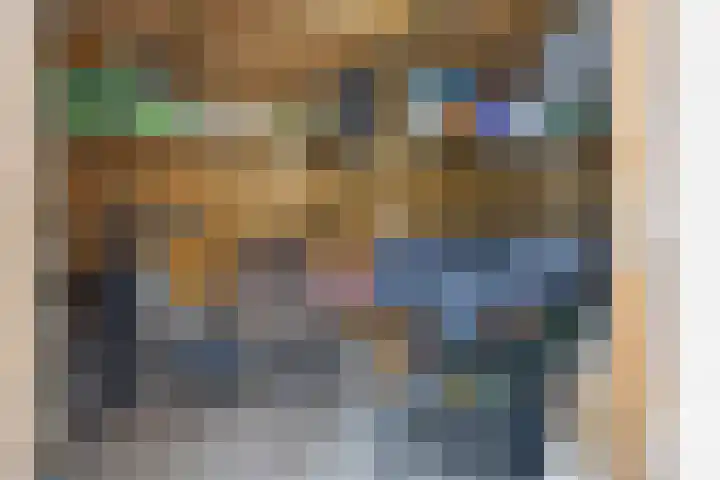 Leemvaert 1 Kaatsheuvel thumbnail 38