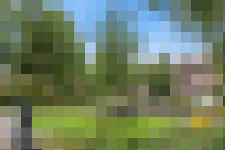 Leemvaert 1 Kaatsheuvel thumbnail 41