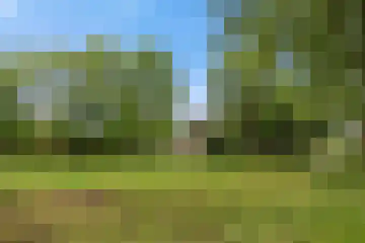 Leemvaert 1 Kaatsheuvel thumbnail 42